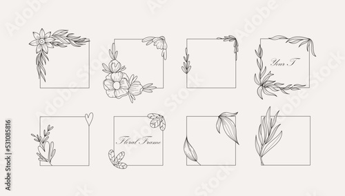 Flowers borders. Hand drawn line botanical elements frames. Floral decor, wedding invitation decor, cards and posters design objects, vector contemporary botanic set