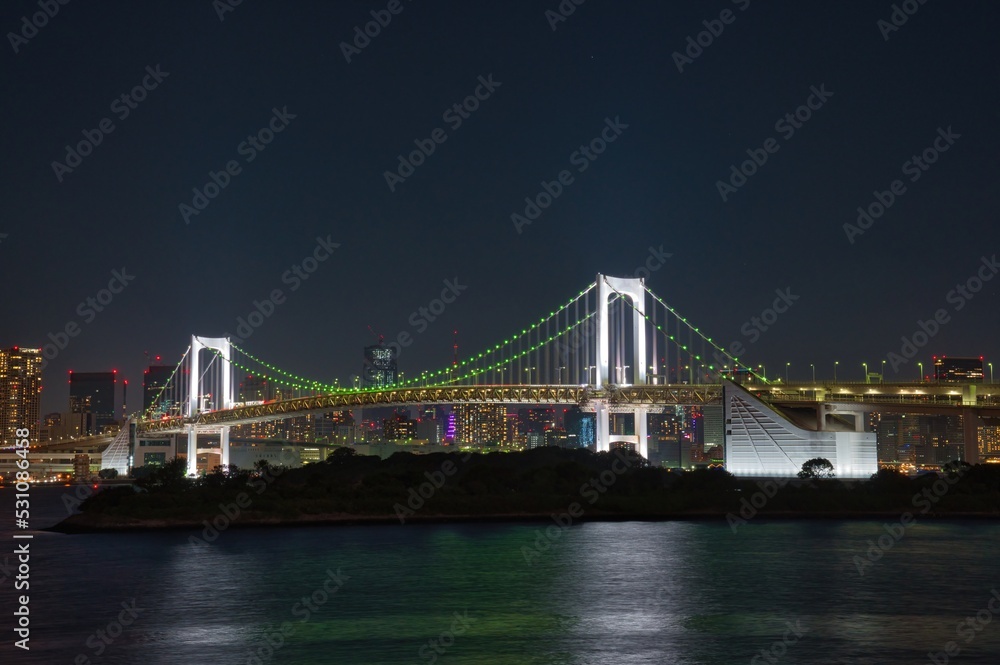 Night view of the Tokyo Bay area, skyscrapers and the Rainbow Bridge, Tokyo, Japan