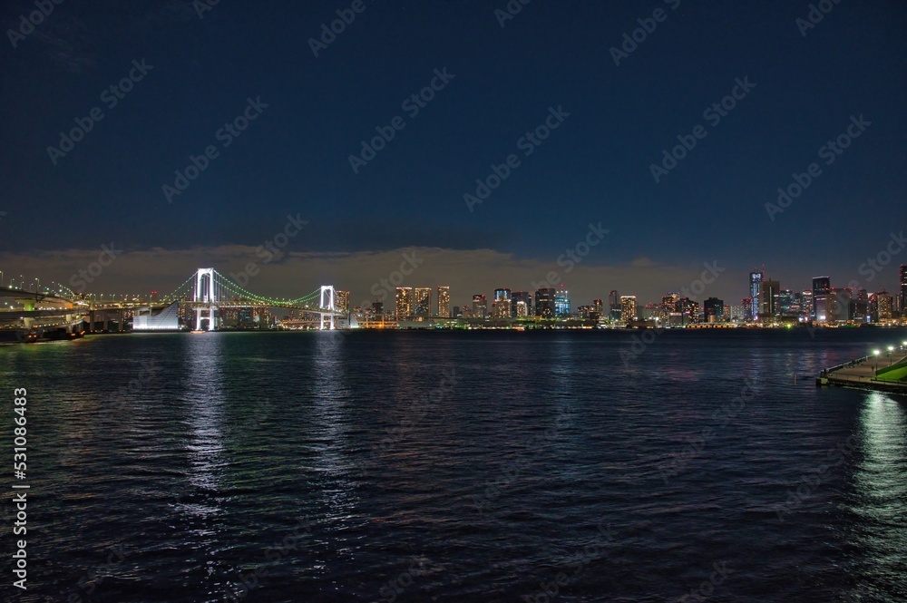 Night view of the Tokyo Bay area, skyscrapers and the Rainbow Bridge, Tokyo, Japan