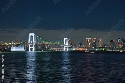 Night view of the Tokyo Bay area  skyscrapers and the Rainbow Bridge  Tokyo  Japan