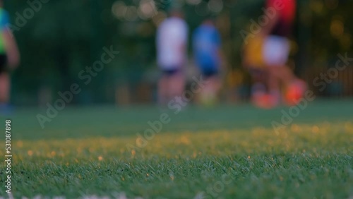 Football lawn close-up, football players in the background. Football in the background. Training for the World Cup