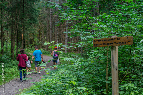 Photography Arrowhead provincial park, Ontario, Canada - Family hiking the park trail betwee