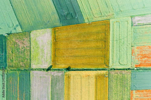 Agricultural Fields From Aerial Drone View. Colorful Pattern.