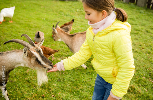 Fotografie Child girl feeding goat in agritourism farm