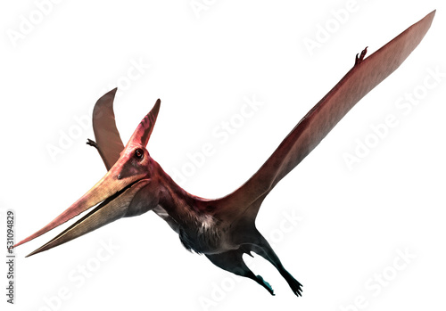 Pteranodon from the Cretaceous era 3D illustration © warpaintcobra