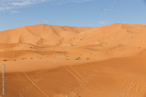 sand dunes in the sahara desert. Erg Chebbi Morocco