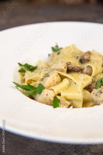 chicken and mushroom pasta close-up on a white plate