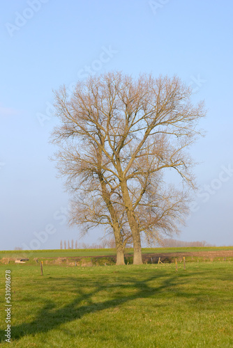 Rural landscape in Flemish Ardennes blue sky and tree