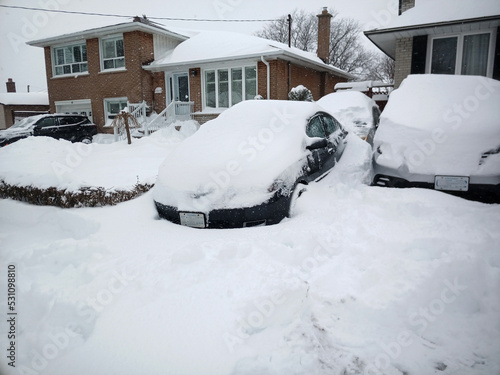 Photography Cars and homes covered with snow after a winter snowstorm, Toronto, Canada