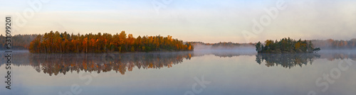 fog in the early morning