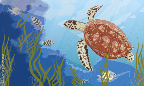 Green sea turtle swims in the sea with tropical fish and algae. Green turtle, black turtle or Pacific green turtle and different poses. Realistic vector underwater landscape.