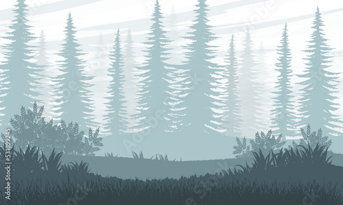 Silhouette of a meadow and spruce forest. Realistic vector landscape