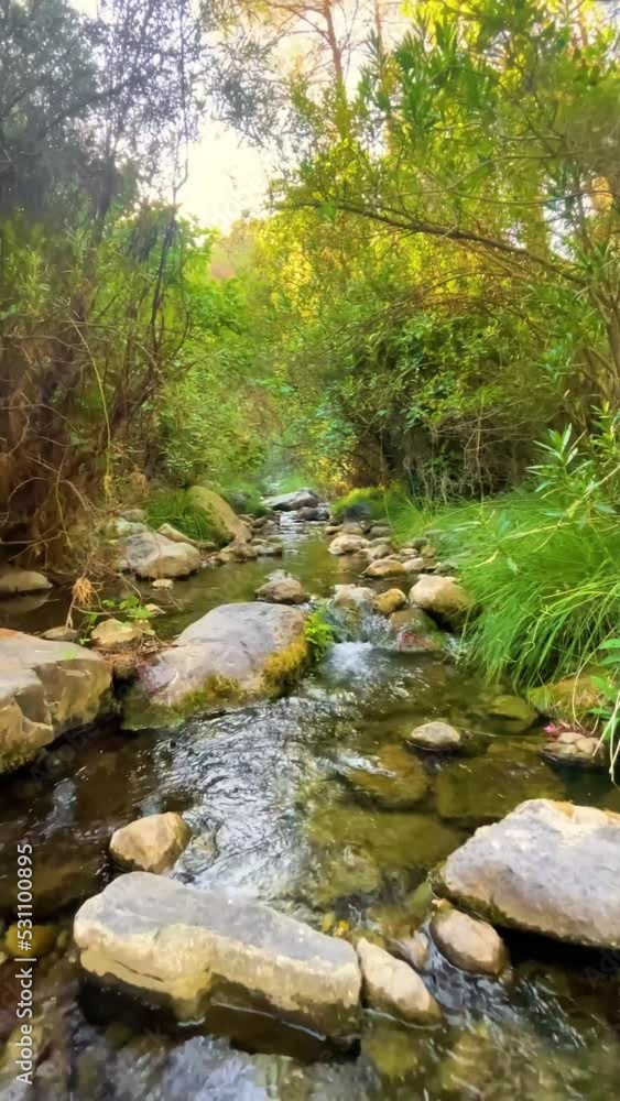 Caminando rio arriba en el nacimiento del rio Lucena, en castellón de la plana