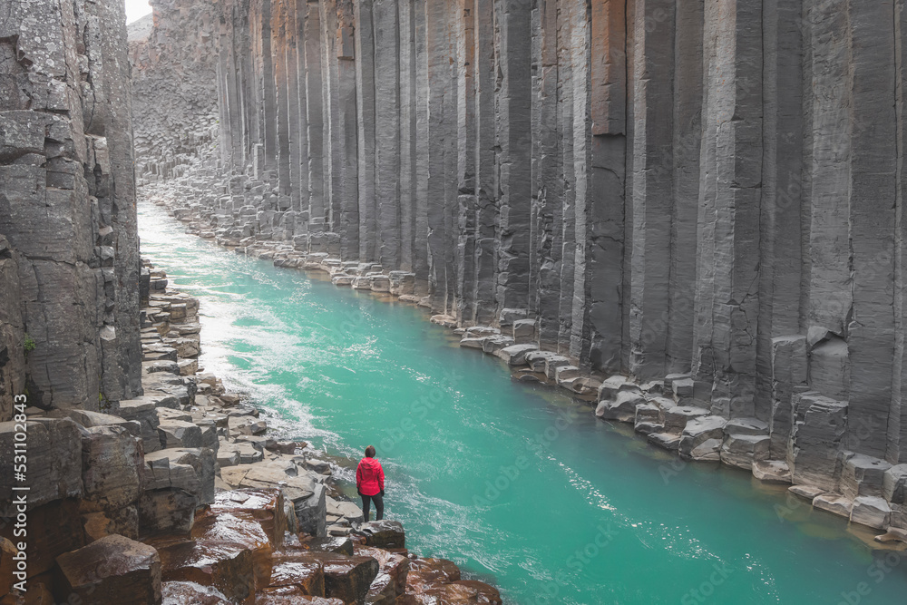 Iceland Studlagil Canyon