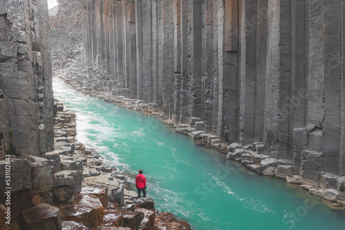 Obraz na płótnie Iceland Studlagil Canyon w salonie
