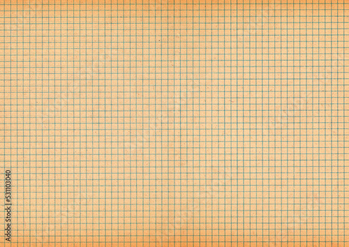 The texture of the notebook in a cage. Background from a sheet with straight intersecting lines