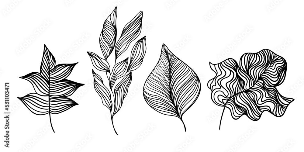 Set of linear leaves and branches. Black and white line art plants isolated on white background