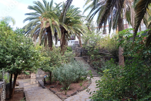 Garachico  Tenerife  Canary Islands  Spain  February 23  2022  Vegetation in Puerta de Tierra park  former point of entry for ships to Garachico  Tenerife  Spain