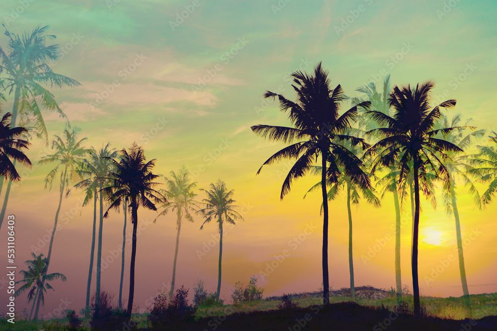 Fototapeta premium silhouette of palm trees at sunset background 