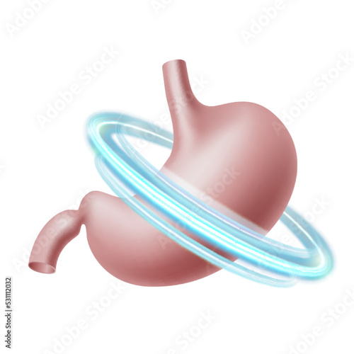 Healthy human stomach in blue protective circle. Healthcare concept.