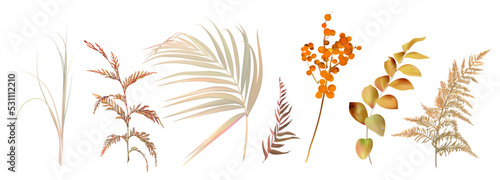 Mix of herbs and plants vector big collection. Cute rustic wedding greenery