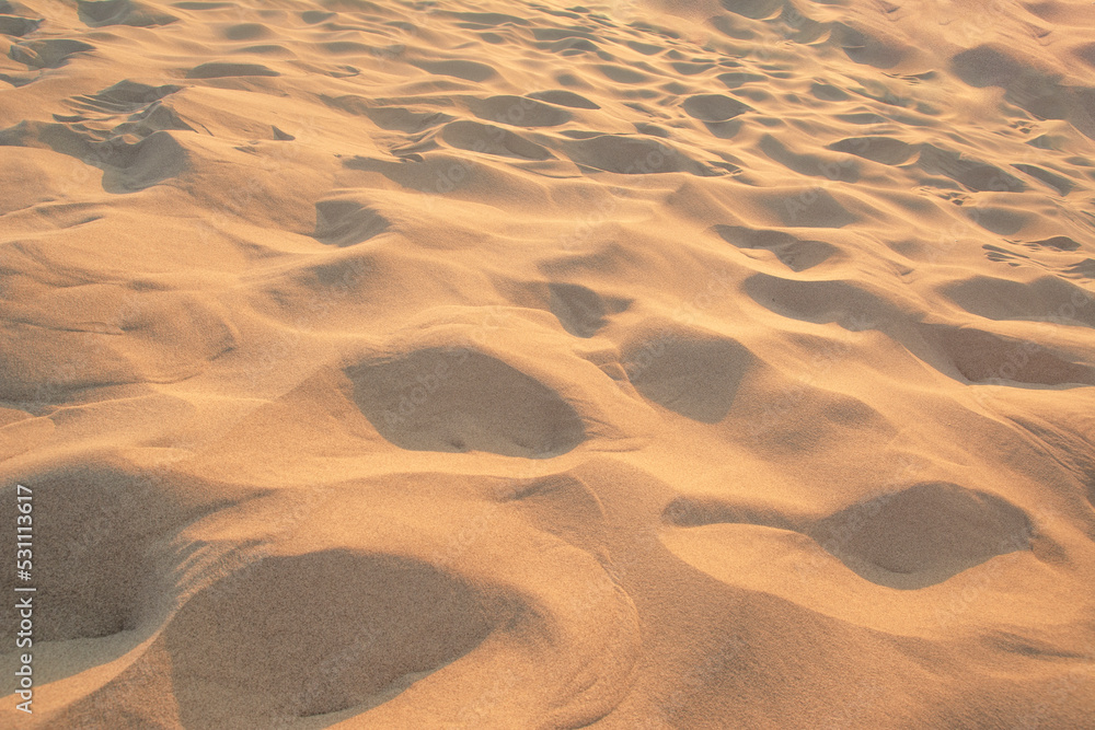 Fototapeta premium Top view of sandy beach. Background with copy space and visible sand texture.