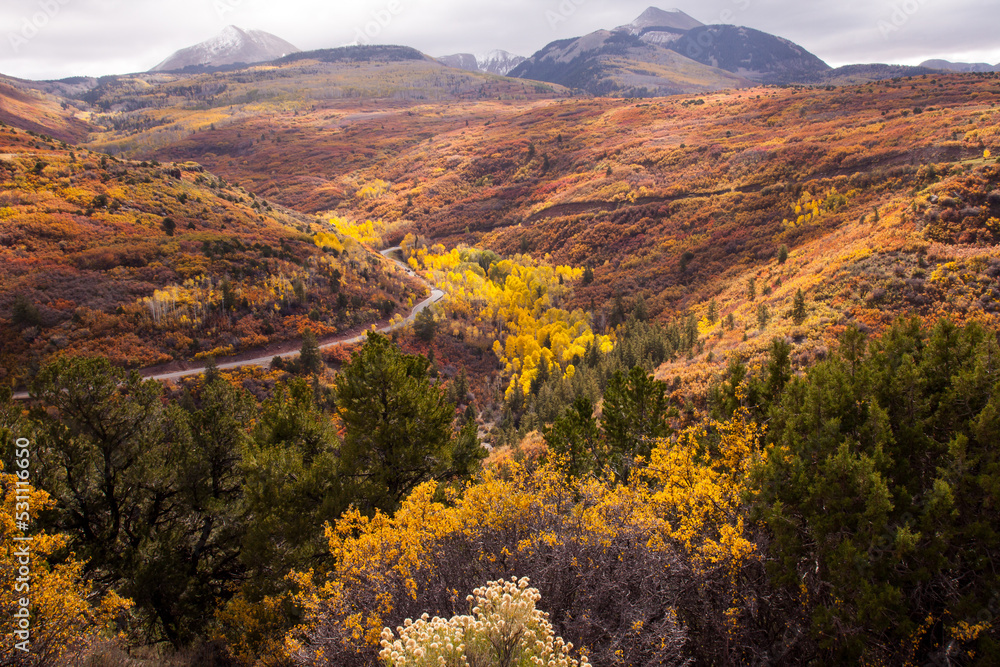 MantiLa Sal National Forest 2026 Stock Photo Adobe Stock