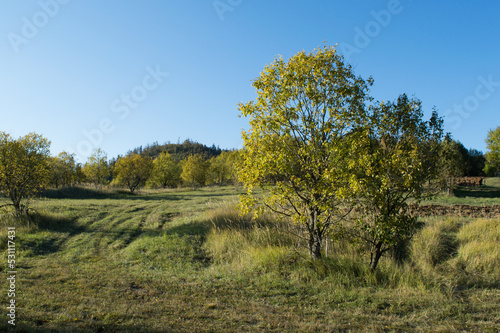 Rural landscape in autumn, land cultivation near the forest, in Gorski kotar, Croatia