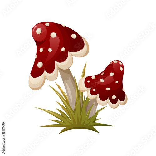 Fly agaric in the grass. Two poison mushrooms, cartoon vector illustration