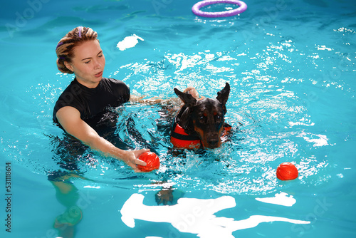 Konstfotografi Dog in life jacket swim in the swimming pool with coach