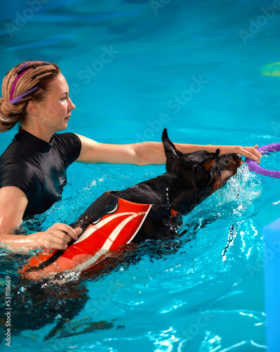 Foto Dog in life jacket swim in the swimming pool with coach