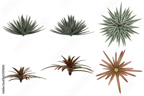Pack of PNG vegetation. +6K. Tropical Bushes. Made from 3D model for compositing © Govinda