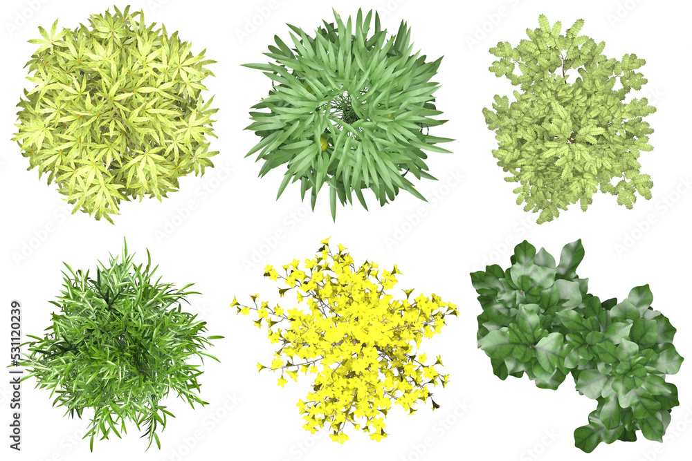 Fototapeta premium Pack of PNG vegetation. +6K. Tropical Bushes. Made from 3D model for compositing