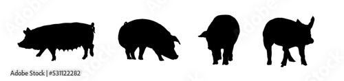 pig silhouette, side view - vector illustration