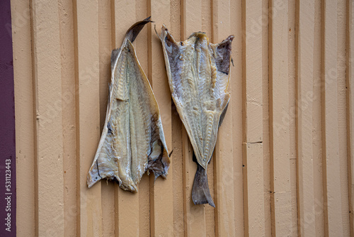 Dried flounder on yellow wall Fototapet
