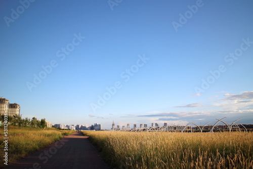 Fotografija tall grass on the outskirts of the city in a pedestrian zone