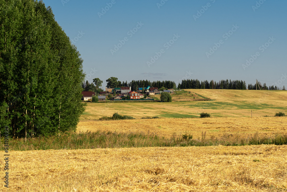 A mown grain field against the background of forests and rural houses..