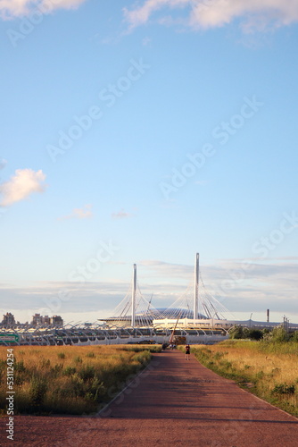 Canvas Print tall grass on the outskirts of the city in a pedestrian zone