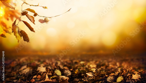 Φωτογραφία An autumn golden sunset background of tree leaves and trees in the fall as winter approaches