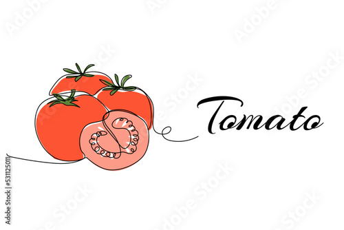 Continuous one line drawing of tomato. Modern style vector illustration on isolated background.