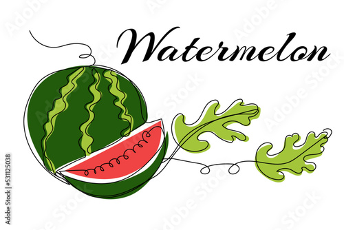 Continuous one line drawing of watermelon. Modern style vector illustration on isolated background.