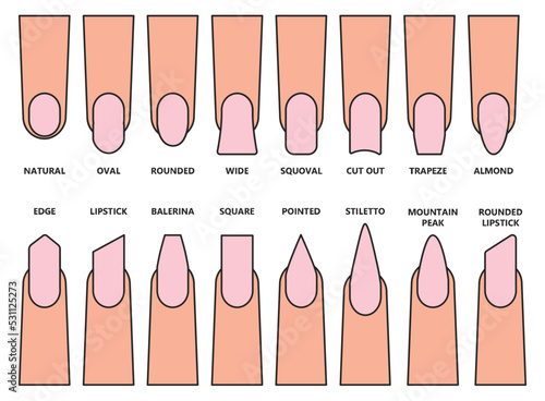 Shape nail vector illustration on white background. Isolated color set icon fingernail. Vector color set icon shape nail. photo
