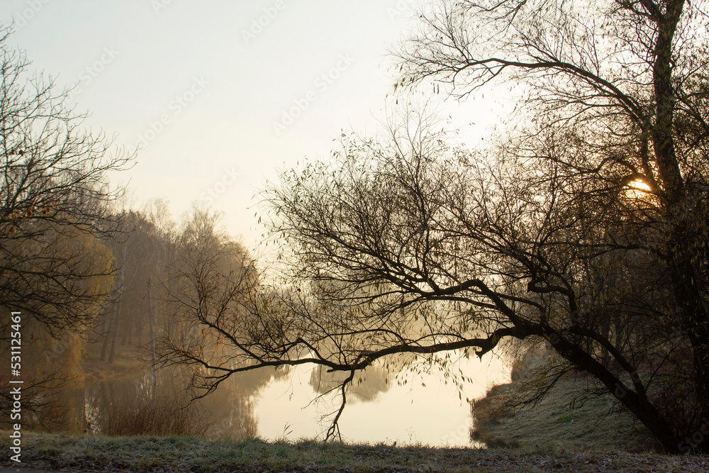 Autumn landscape in a city park, autumn in Moldova.