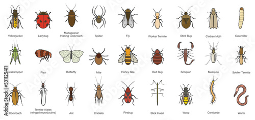 Bug of insect vector color set icon.Vector illustration insect beetle. Isolated color icon bug and fly beetle. © Svitlana
