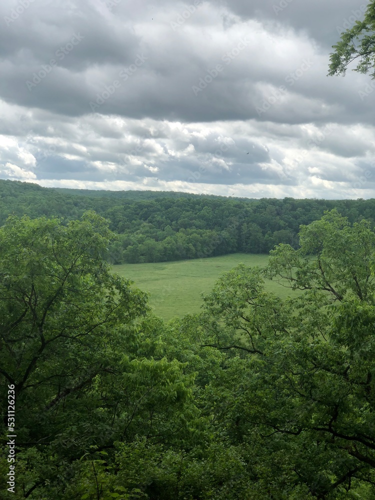 Obraz premium clouds over the forest