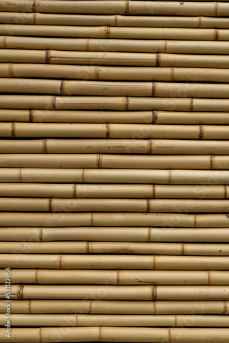 Murais de parede wallcovering texture with new bamboos