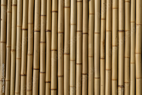 Tela wallcovering texture with new bamboos