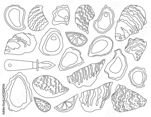 Oyster isolated outline set icon. Vector outline set icon shellfish food. Vector illustration oyster on white background.