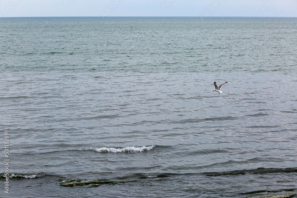 Coast of the Caspian Sea, waves, gray sky, a cell flies over the water, landscape. Coast of the Caspian Sea, waves, gray sky, a cell flies over the water, landscape.
