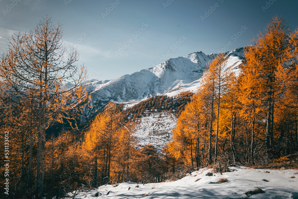 winter and autumn mountain landscape with forest of larches